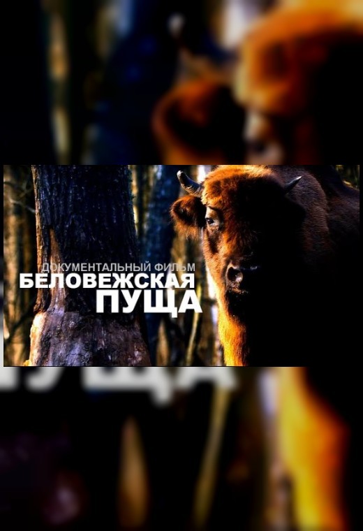 БЕЛОВЕЖСКАЯ ПУЩА (Беларусьфильм)