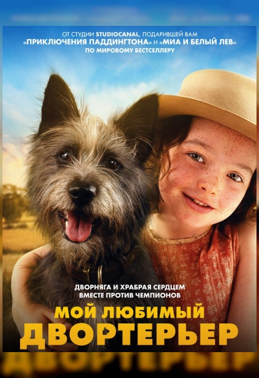 МОЙ ЛЮБИМЫЙ ДВОРТЕРЬЕР